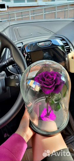 Розы в колбе