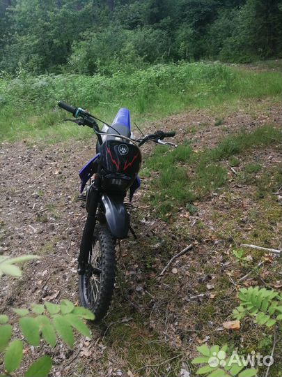 Питбайк Irbis ttr 125