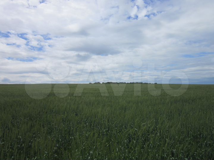 Участок 18 сот. (ИЖС)