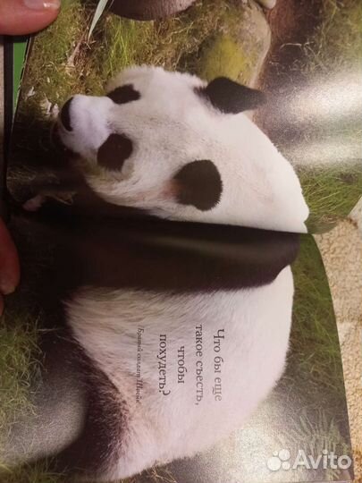 Любовь приходит и уходит,а кушать хочется всегда