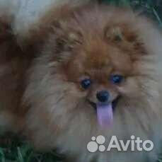 Мальчик с пальчик