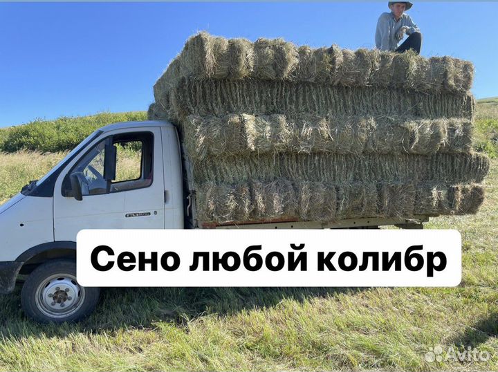 Сено солома разнотравье