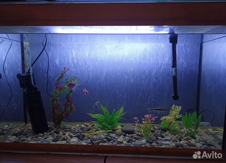 Аквариум
