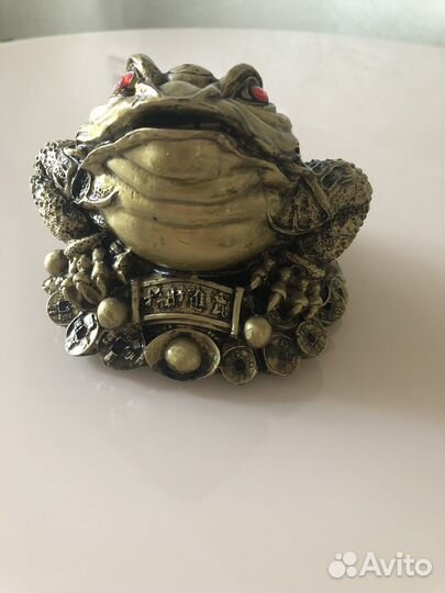 Денежная жаба большая