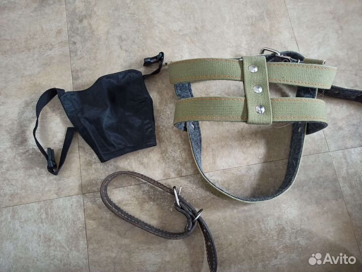Шлейка для крупной собаки, намордник и ошейник