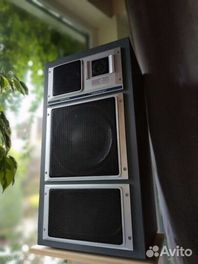 Акустическая система