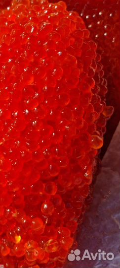 Красная икра форели, лосося, кеты, горбуши