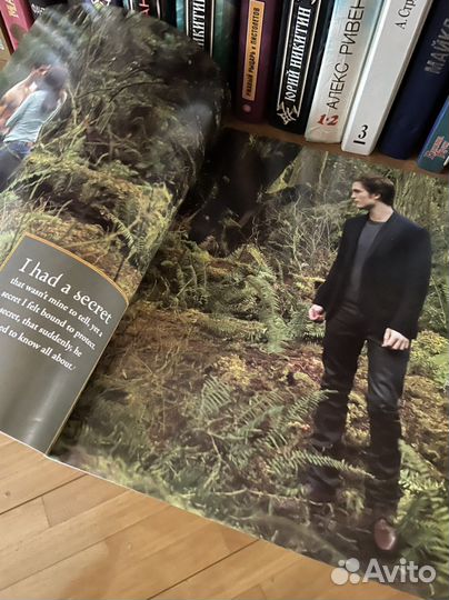 Twilight New Moon illustrated edition Сумерки