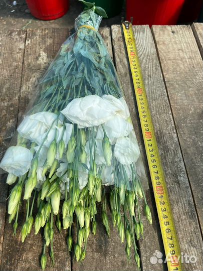 Цветы с доставкой