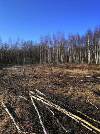 Участок 15 сот. (ИЖС)