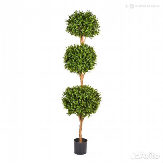 Самшит шар тройной уличный новый 190 см