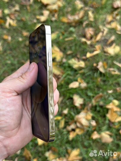 iPhone 12 Pro 256 gb Ростест