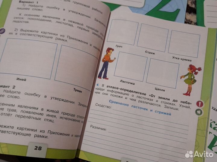 Рабочая тетрадь 2 класс окружающий мир