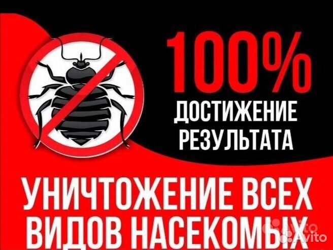 Уничтожение клопов,тараканов,блох