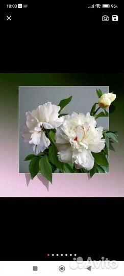 Алмазная мозаика набор цветы