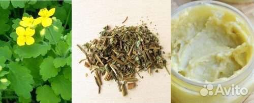 Мазь из 7 трав 100 процентов натурально