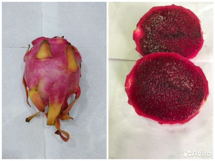 Питахайя белая, красная и желтая