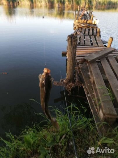 Рыбалка снасть удилище