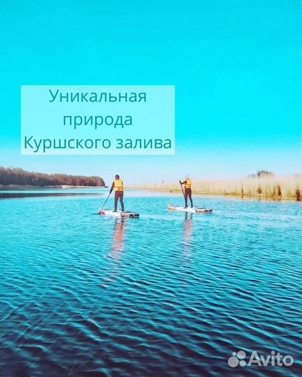 Sup прогулка