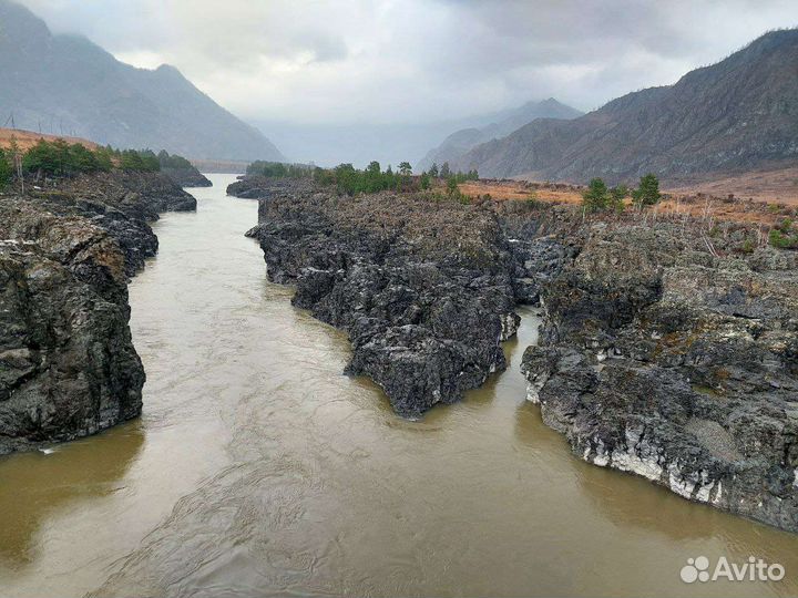 Туры и экскурсии в Горный Алтай