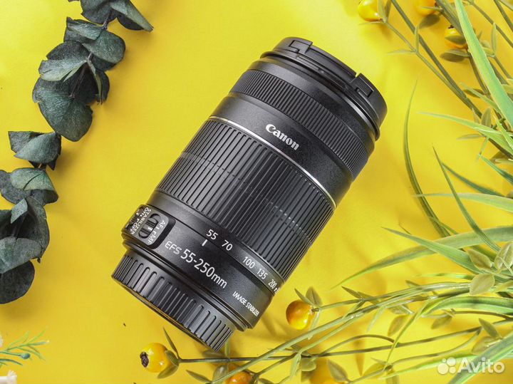 Объектив Canon EF-S 55-250mm f4-5,6 IS ll