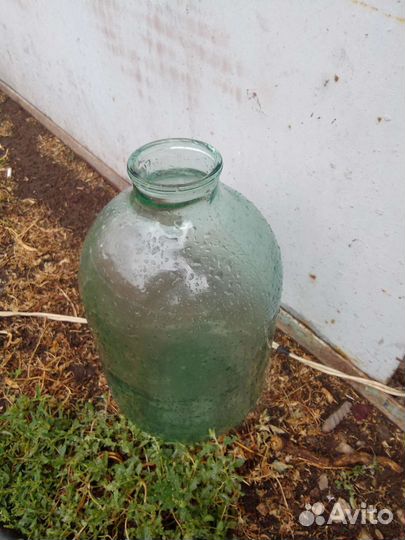 Бутыль стеклянная 10 литров. Бутыль 20 литров 20