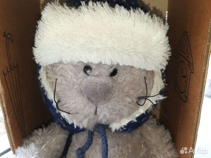 Котик-описание под фото