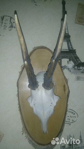 Натуральное панно 