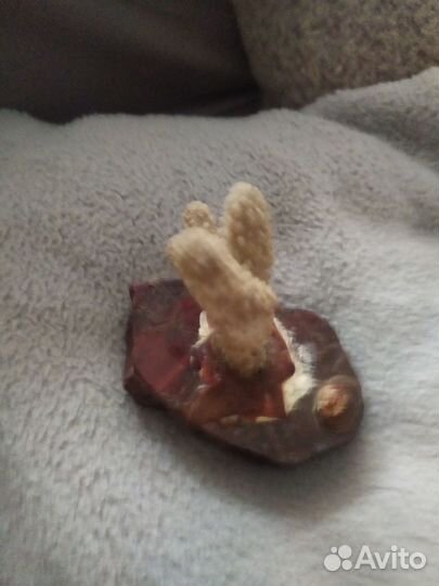 Натуральный коралл на подставке из яшмы