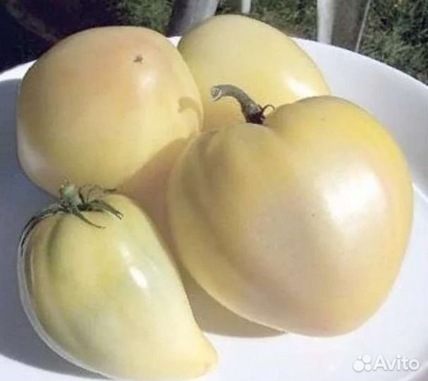 Томат Бычье сердце ассорти