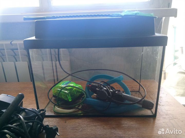 Аквариум