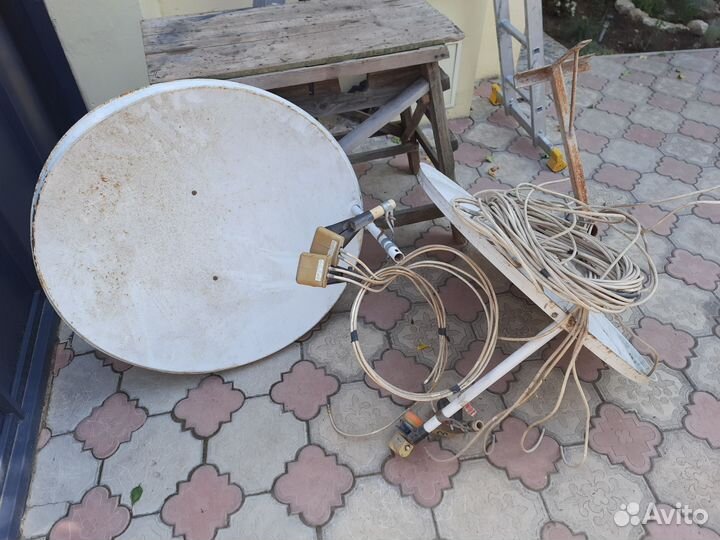 Отдам бесплатно