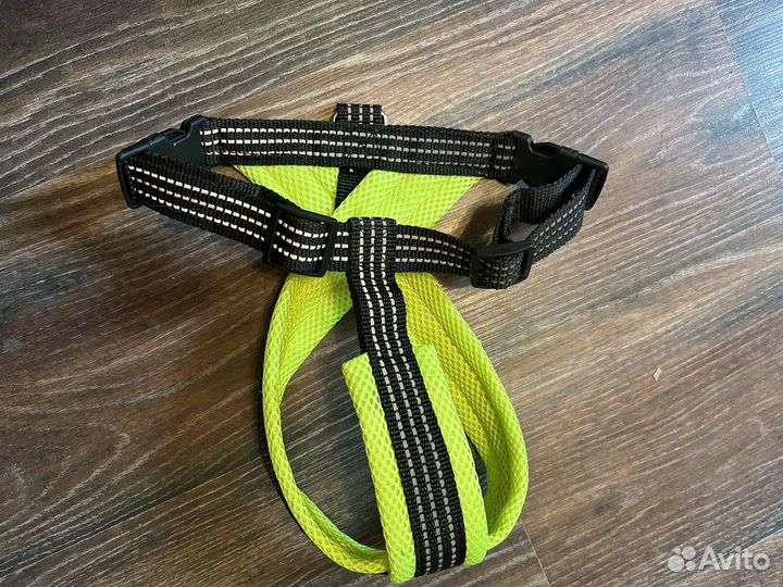 Шлейка для собаки