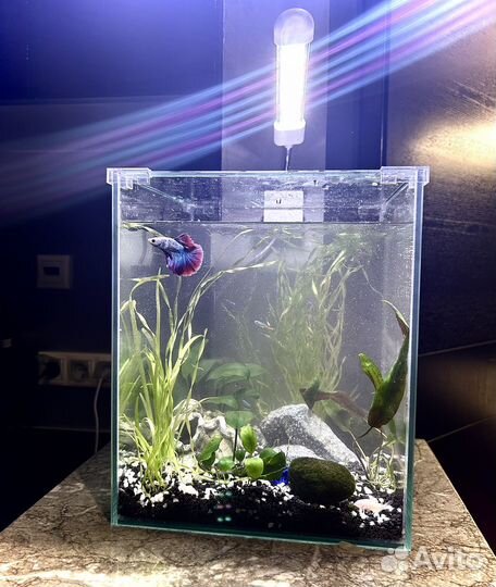 Аквариум на заказ. Подарок на 1 сентября