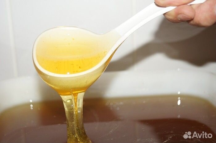 Мёд оптом образцы бесплатно