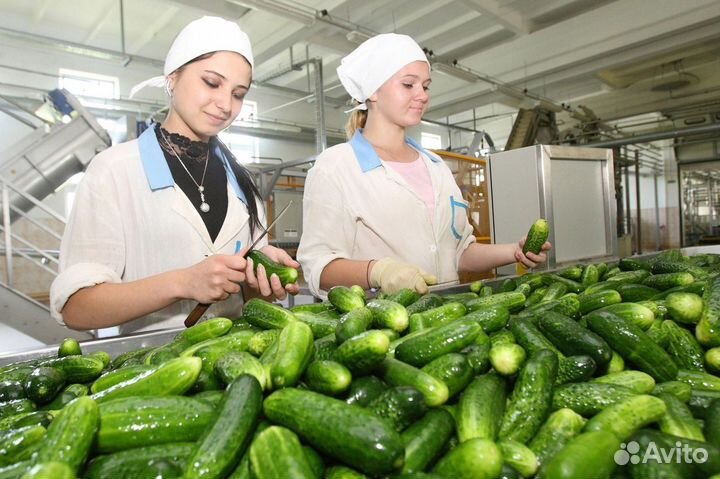 Оператор упаковочной линии, вахта, жилье