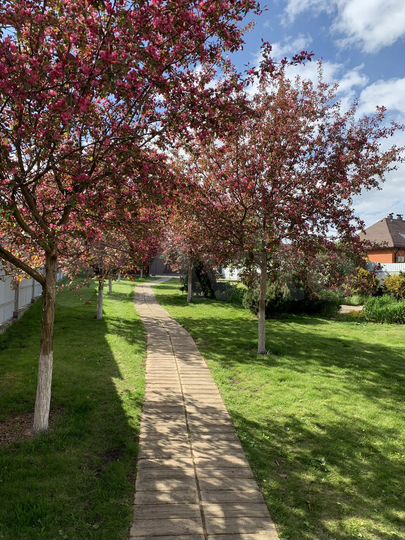 Дом 260 м² на участке 12 сот.