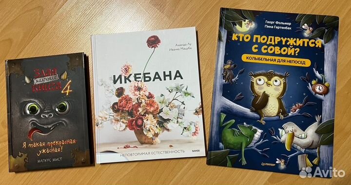 Подарочные книги детям и взрослым, рекорды Гиннесс