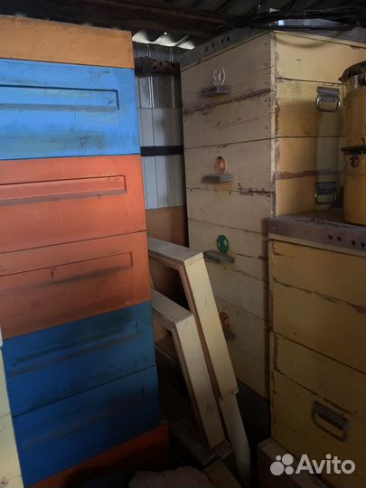 Ульи дадан и рута