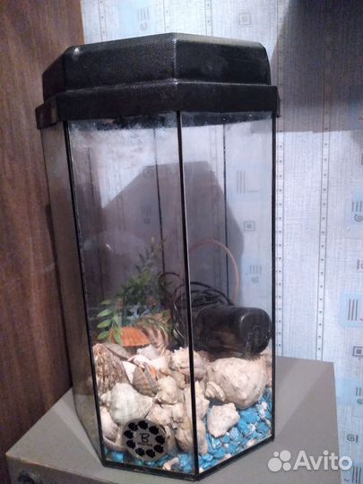 Аквариум