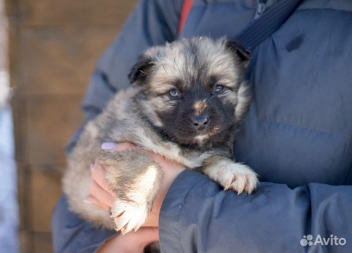 Малыши из приюта ищут дом