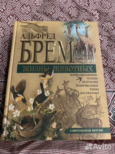 Энциклопедия жизнь животных