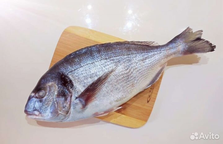 Сибас, дорадо, рыбка 400-600гр