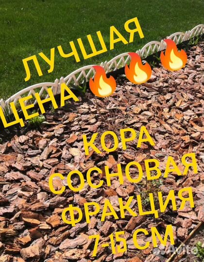 Кора мульча сосны