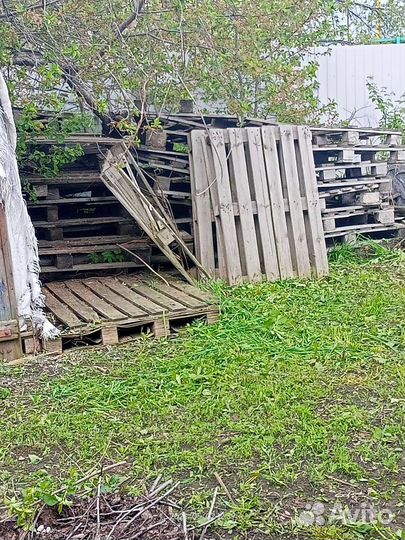 Дрова