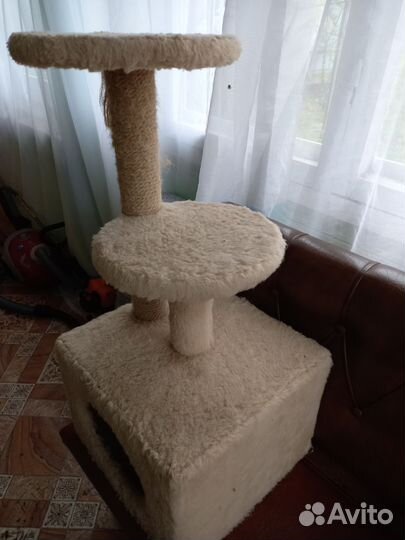 Когтеточка