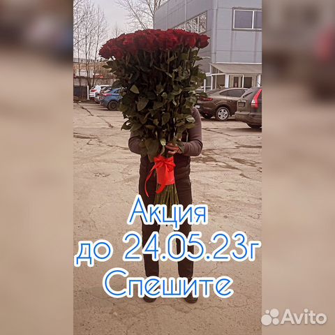 80 см 25 роз из Эквадора. Первый сорт