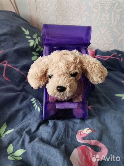 Chi Chi love игрушка собачка