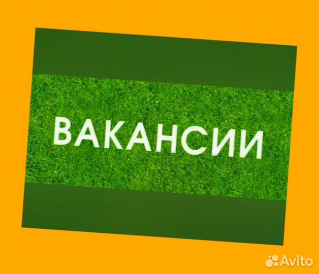 Этикеровщик без опыта Хорошие условия+Спецодежда