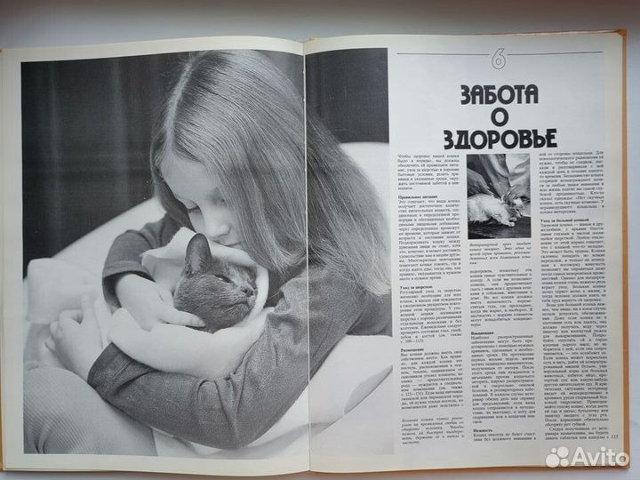 Книга о кошках